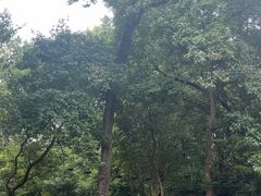 -WeLope紫金山探险公园