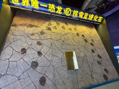 -诸城市恐龙博物馆