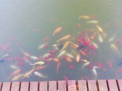 -月牙潭公园