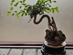 -面辣子·陕西家乡菜(钟楼店)