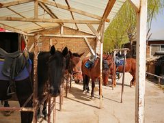 -月河湾马术俱乐部(朝阳店)