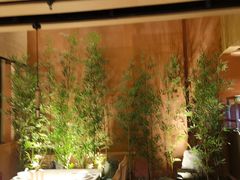 -初蓉丨遇见新川菜(亲贤街荣耀店)