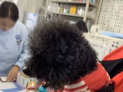 -北京赛佳动物医院