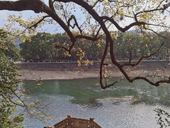 -蒋氏故居