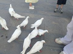 -天津妈祖文化园