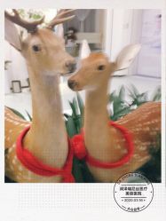 -润泽瑞尼丝医疗美容医院