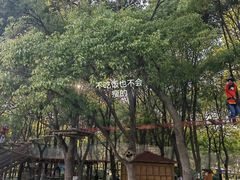 -嘉北郊野公园