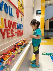 -乐高授权专卖店(中关村领展店)