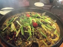-老板恋上鱼(环山路店)
