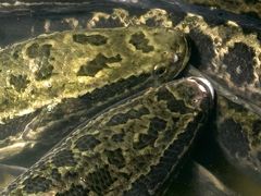 -湘芙蓉·湖南菜(椒江店)