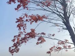 -白鹭湾湿地公园