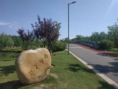 -上海长兴岛郊野公园