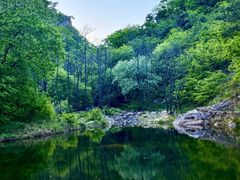 -大连天门山国家森林公园