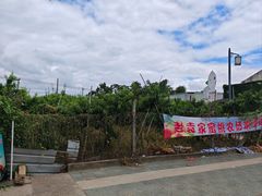 -老袁家蜜桃农场·阳山水蜜桃