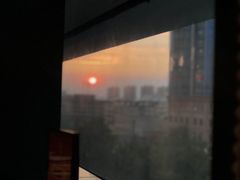 -老板恋上鱼(印象城店)