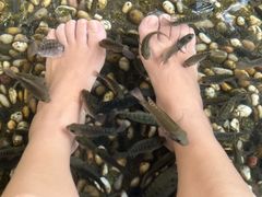 -融汇温泉
