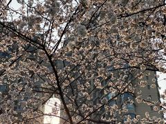 -西北湖绿化广场