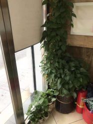 点击看大图 -环球蝶上美业连锁