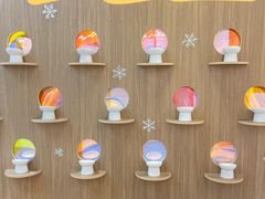-COLOR PETS 撸猫馆·购猫·猫咖(长风大悦城店)