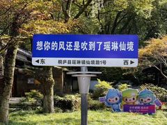 -瑶琳仙境