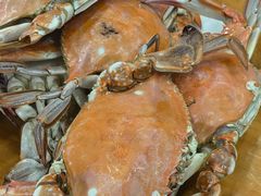 -渔家小院观海海肠捞饭地方菜(环海中路店)