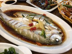 -老马家·舌尖上的西塘美食