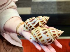 -吴记富苑(朝阳店)