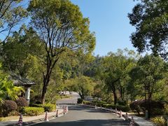 -河源万绿湖美思威尔顿酒店