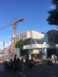 -上海交通大学医学院附属上海儿童医学中心(陆家嘴总院区)