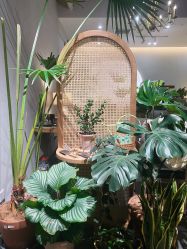 -芳香乐府疗愈空间·SPA·冥想