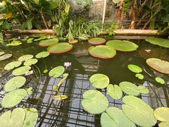 -国家植物园南园