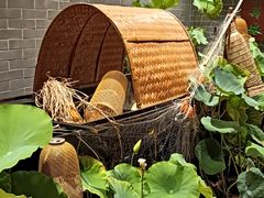 -龙悦湾酒家·八阵鱼生·渔人码头店