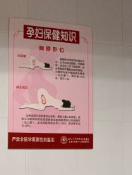 -复旦大学附属妇产科医院(黄浦院区)