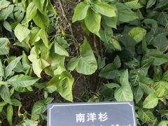 -厦门悦华酒店