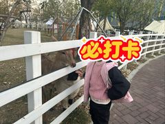 -金鸡湖桃花岛