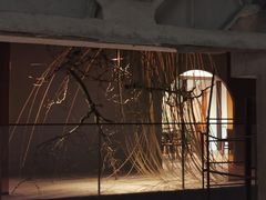 -璞素(浦东店)