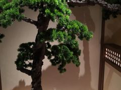 -揽季锅物会.福建黄鱼.海鲜姿造(五四路店)