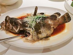 -鱼乐轩(珠江路店)