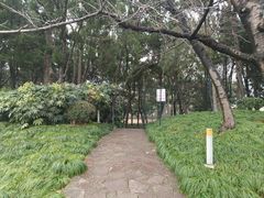 -嘉定紫藤园