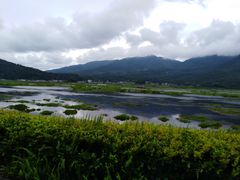 -腾冲北海湿地