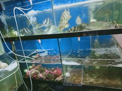 水产区-美味海鲜大排档(明发美食地标店)