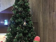 -金逸影城(广州海珠城激光IMAX店)