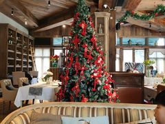 -一棵树·意大利西餐厅One Tree(新城店)