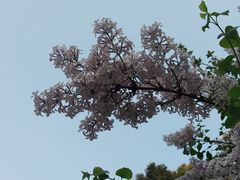 -山东师范大学(千佛山校区)