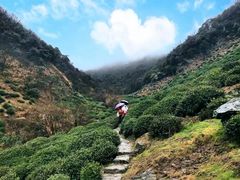 -东白山