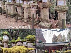 -奈良公园