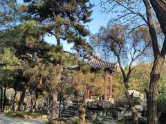 -丰台花园