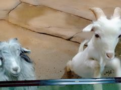 -苏州海洋馆