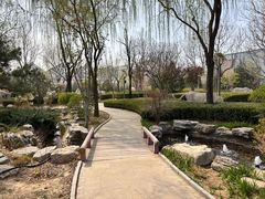 -南宫五洲植物乐园