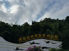 -西双版纳原始森林公园